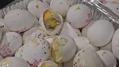 Тухлые яйца на базе ЦАХАЛа האוכל בבסיס סיירים