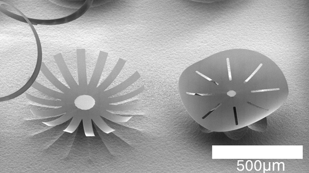 הדגמת המחקר