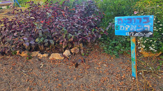 פנימיית "ביתנו" בבאר שבע