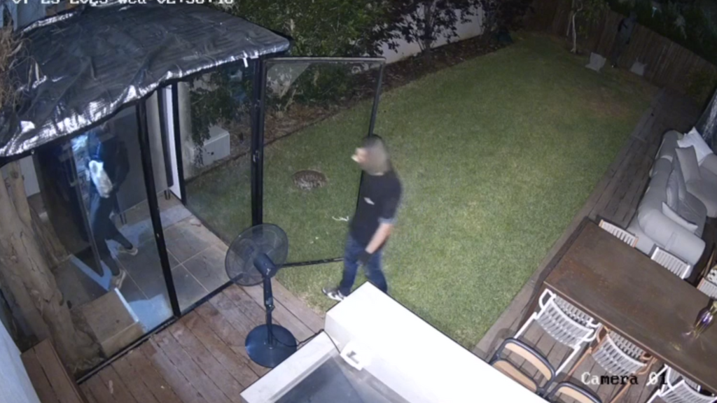 Raiding the fridge פריצה למקרר