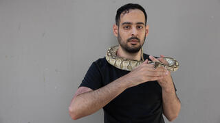 תומר סלע
