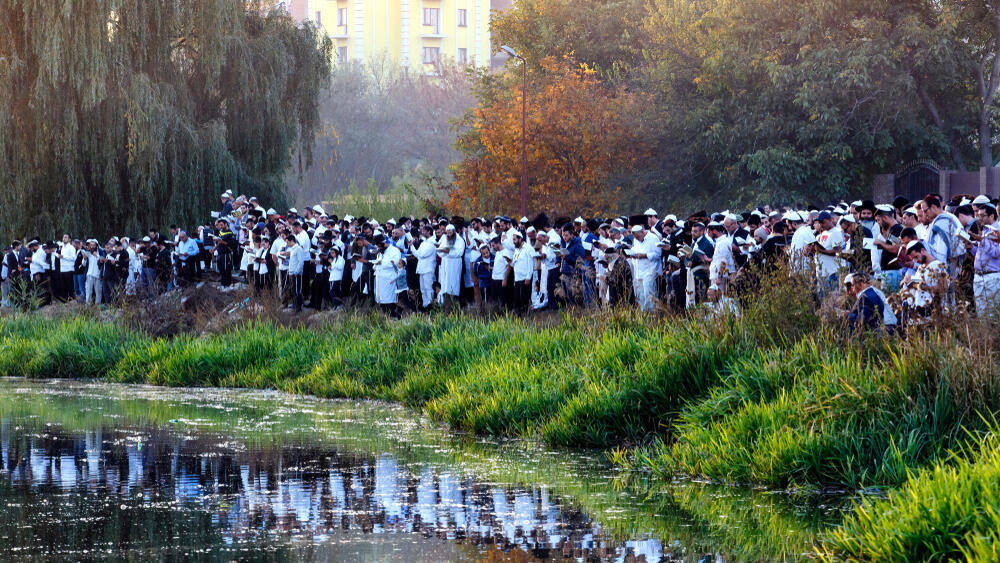 Совместная молитва во время паломничества в Умань (Фото: paparazzza/shutterstock) Во время паломничества в Умань