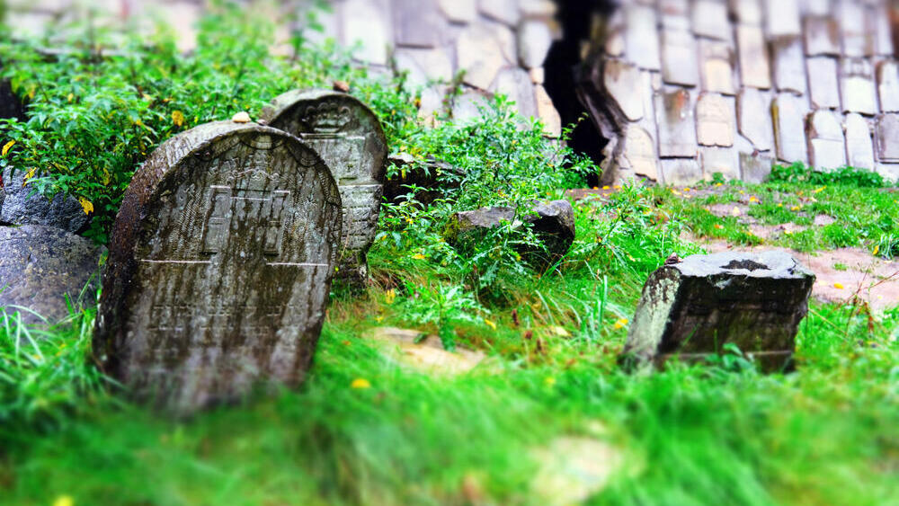 מצבות בבית הקברות היהודי העתיק בעיירה הפולנית קז'מייז' דולני