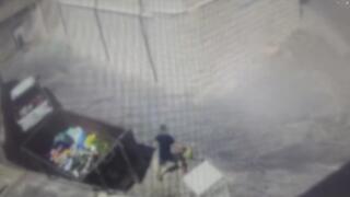 האזרח ההונגרי מטיח את החתול במכולת הברזל בעיר נצרת