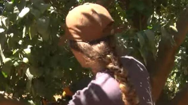 A student works in the field