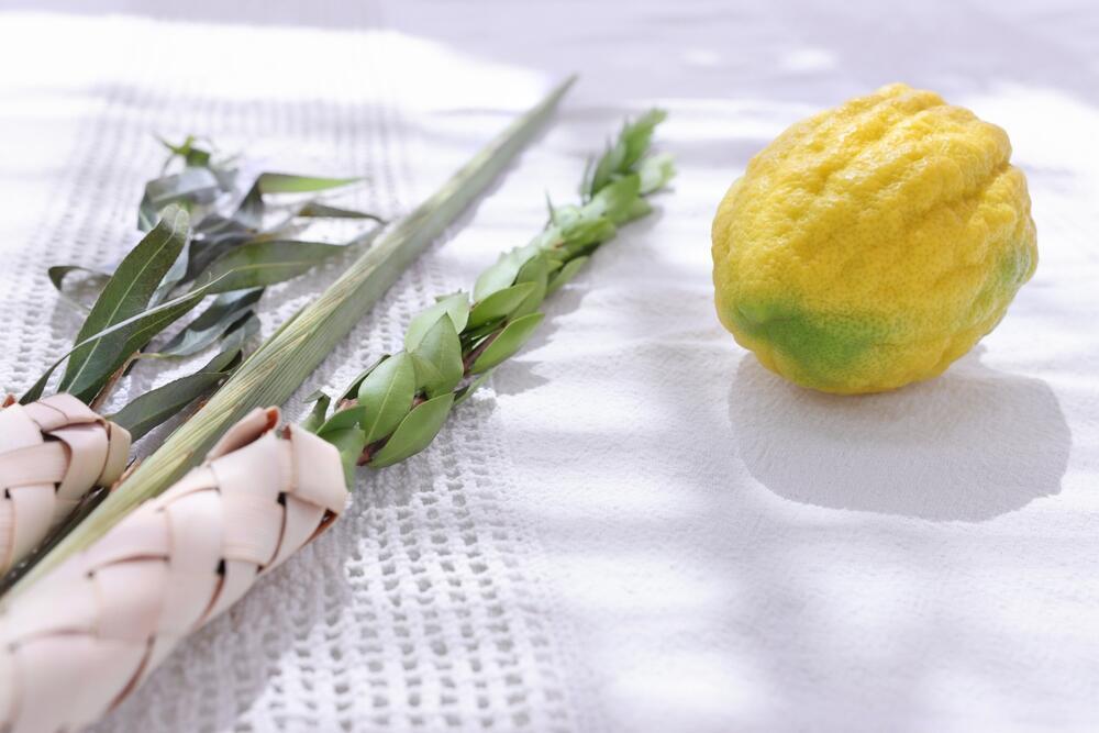 The four species. This year they are taken only during Chol Hamoed (Photo: Tomertu / Shutterstock) ארבעת המינים
