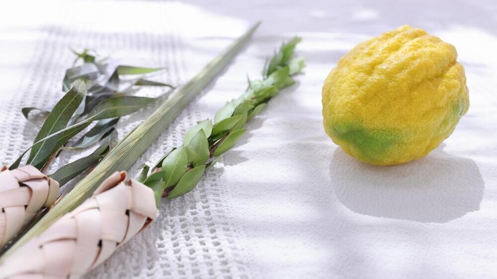 The four specie for Sukkot (Photo: Tomertu / Shutterstock) ארבעת המינים
