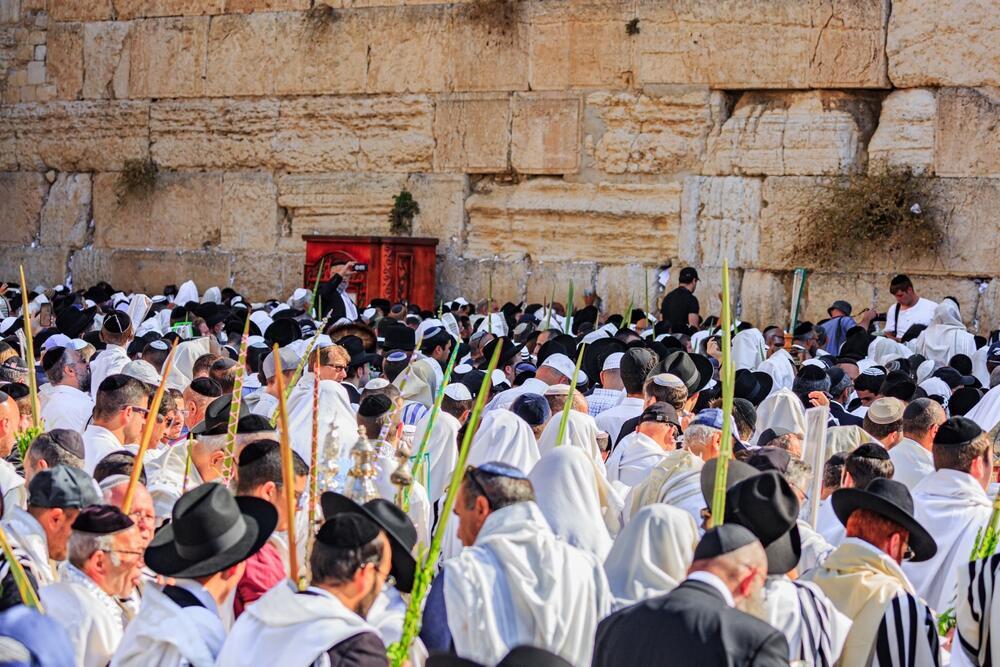 Суккот у Стены плача (Фото: kavram, shutterstock) Евреи в Суккот у Стены плача