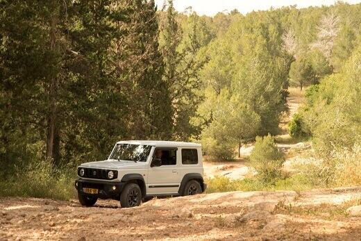 סוזוקי גימני