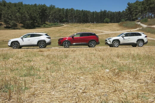 מבחן ג'יפונים