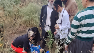 תאונה של משפחה חרדית באומן