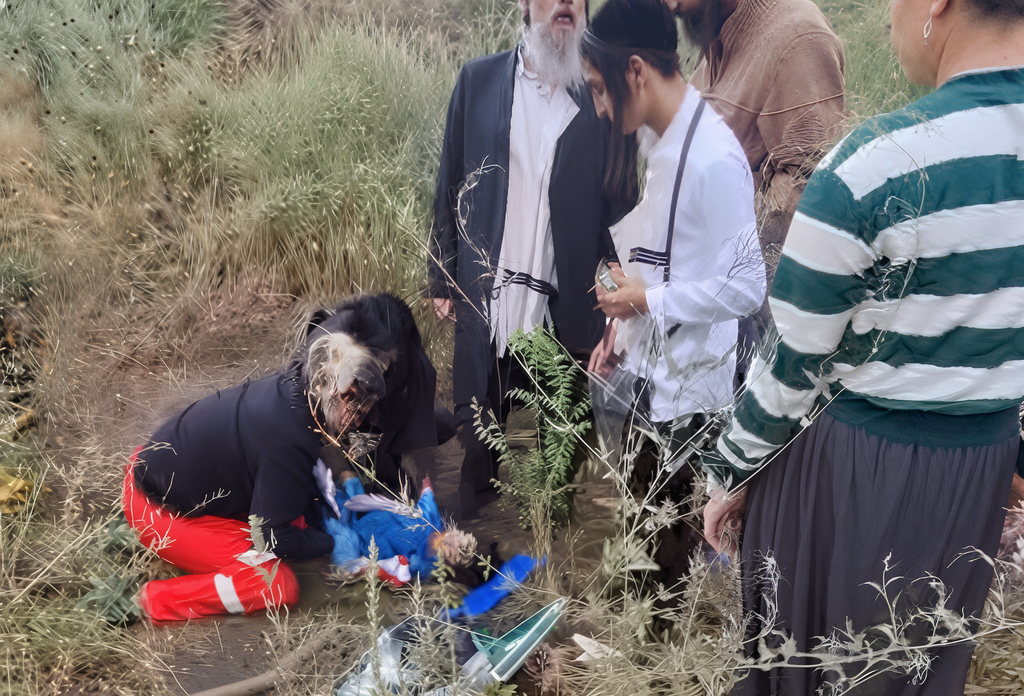 תאונה של משפחה חרדית באומן