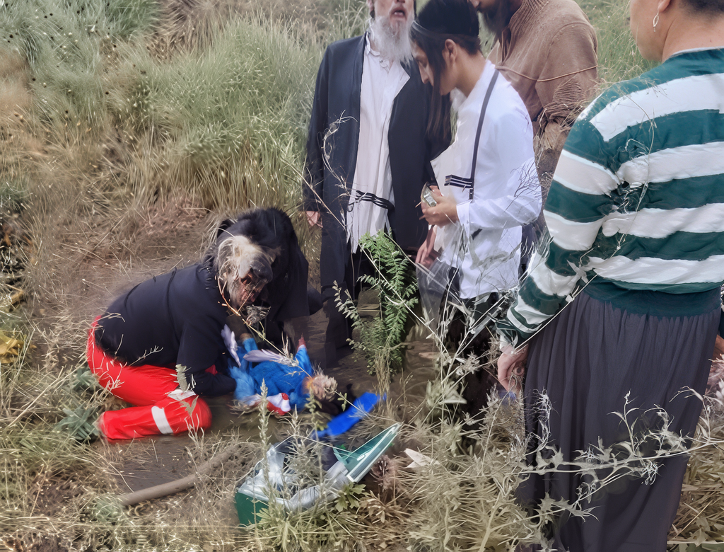 תאונה של משפחה חרדית באומן