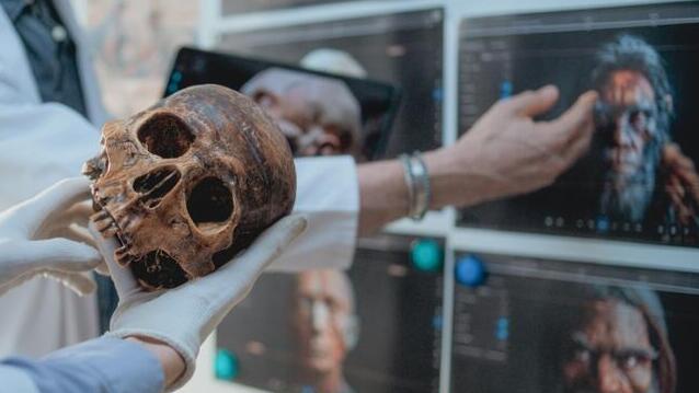 מדענים בוחנים גולגולת מאובנת של אדם קדמון