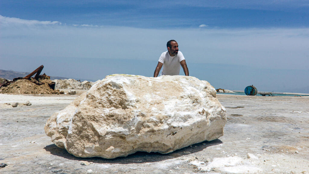 ארז נאבי פנה בים המלח
