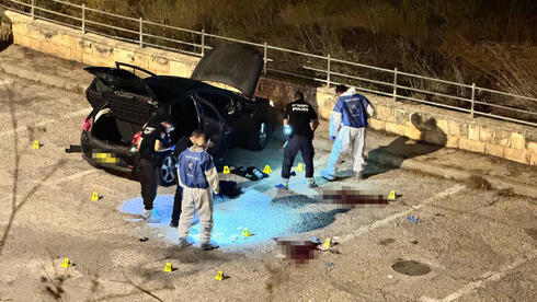 ניסיון רצח והתאבדות בשכונת גילה, ירושלים