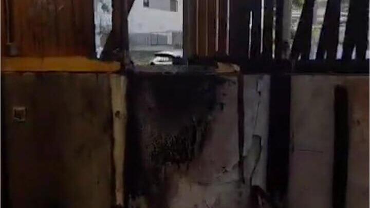 תושב ראשון לציון נעצר בחשד להצתת גן ילדים