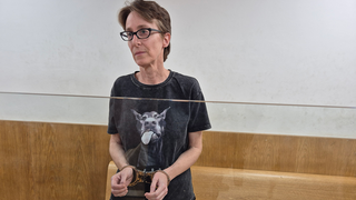 הארכת מעצר ליולנדה יבור