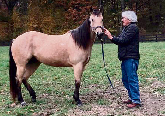 פרופ' יובל נריה
