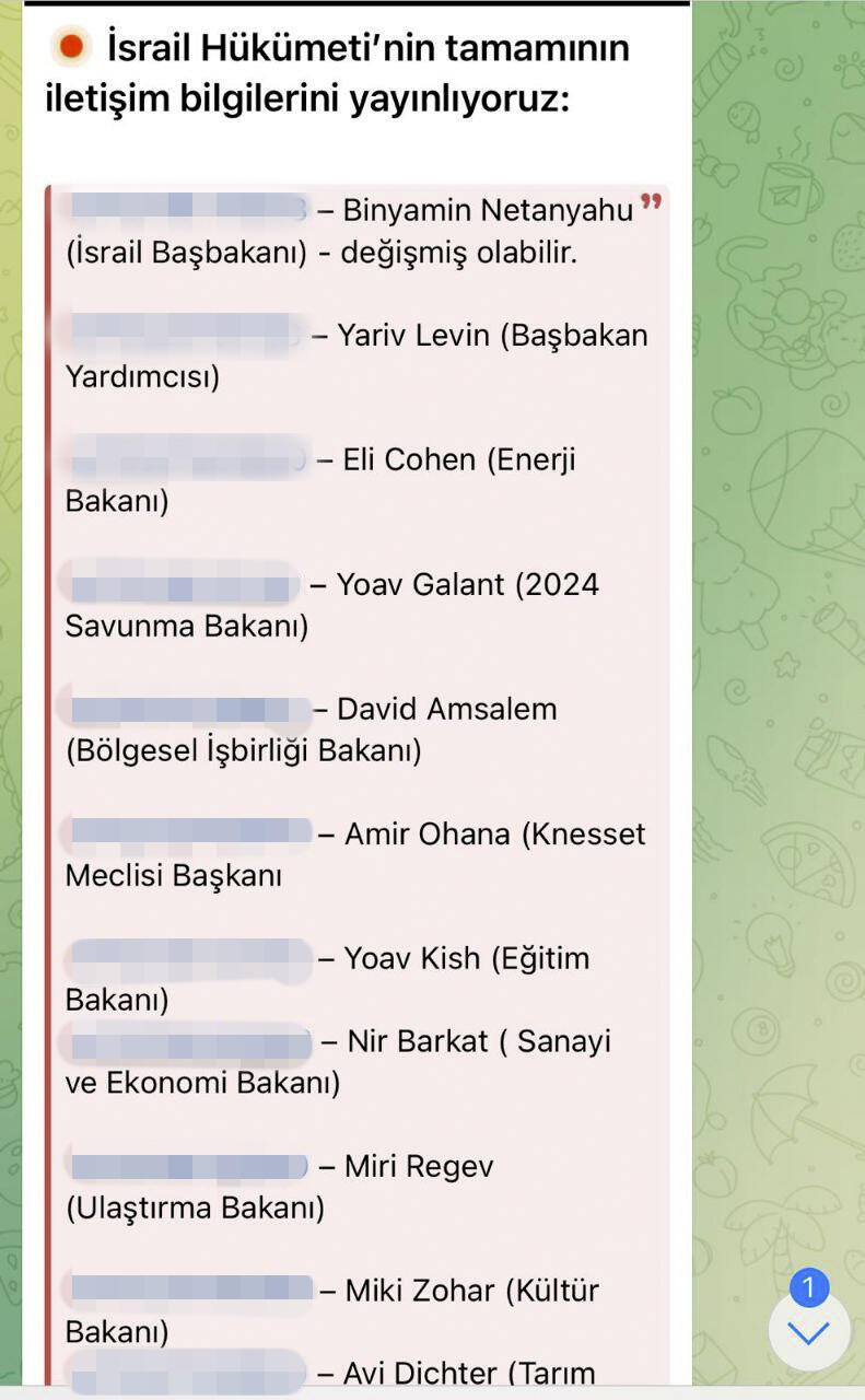 'Hitler was right' Turkish hackers threaten ministers after phone