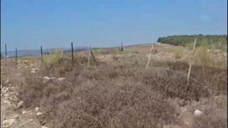 טרור חקלאי במגידו: 20 ק"מ של גדרות המקיפים שטחי מרעה הושחתו 