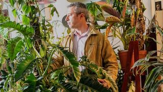 שפע של צמחים בדירה בשכונת שפירא