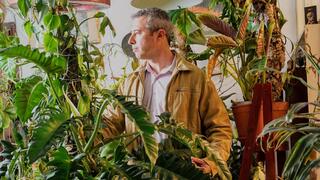 שפע של צמחים בדירה בשכונת שפירא