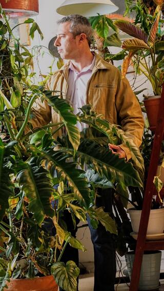 שפע של צמחים בדירה בשכונת שפירא