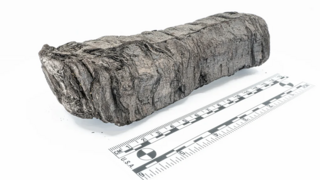 בחפירות ארכיאולוגיות התגלה אוסף של כ-800 מגילות פפירוס מגולגלות, שאחרי ההתפרצות הפכו לגושי פחמן. אחת מהמגילות השרופות 