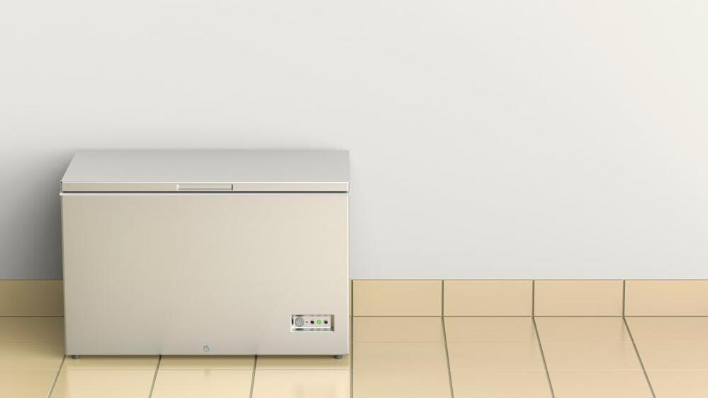 The bodies were kept in a freezer and discovered 30 years later (Photo: shutterstock) מקפיא