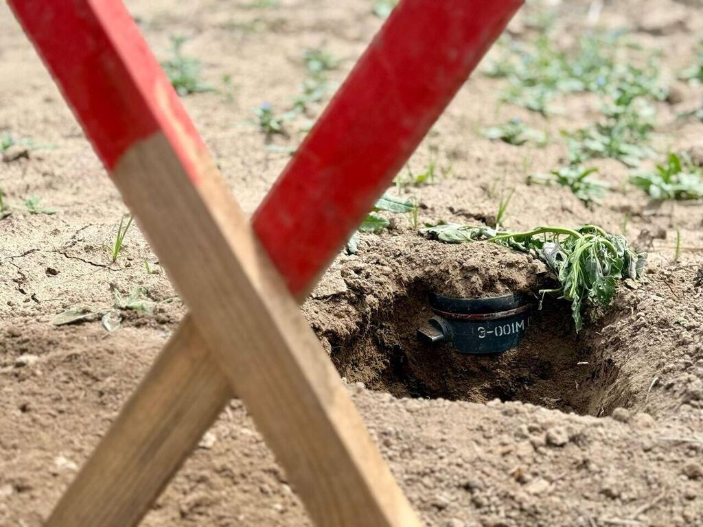 A mine discovered underground (Photo: Avi Rosenfeld) מוקש שאותר מתחת לאדמה