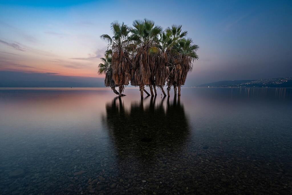 'Dancers in the Water', Sea of Galilee, Israel (Photo: Ilan Shacham) "רקדנים במים", הכינרת, ישראל