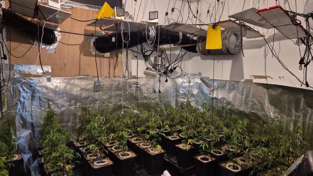 מעבדת הסמים בבית היועצת הפרלמנטרית של השרה מאי גולן