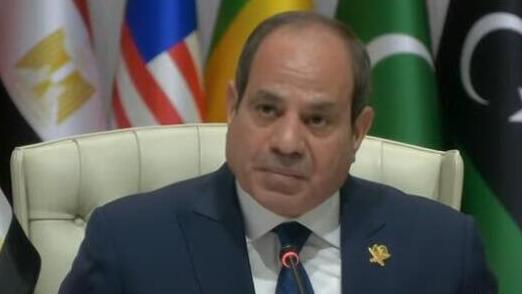 נשיא מצרים עבד אל-פתאח א-סיסי