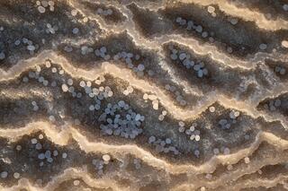 "פנינים מלוחות", תמונת הנוף האבסטרקטי של השנה, Natural Landscape Photography Awards