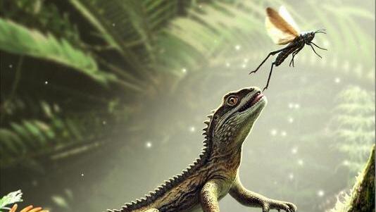 הדמיה הזוחל הקדמון Agriodontosaurus helsbypetrae