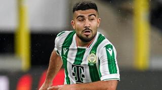 מוחמד אבו פאני