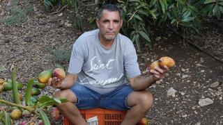 רוברט אמרוסי  במטע מנגו