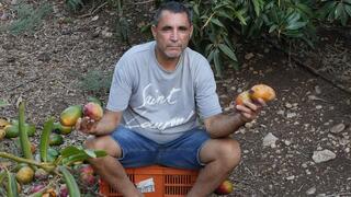 רוברט אמרוסי  במטע מנגו