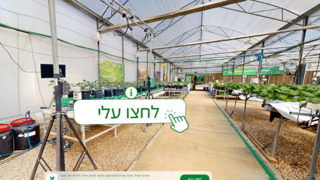 קבוצת חיפה סיור וירטואלי