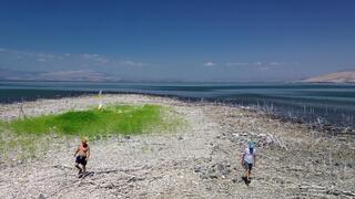 המסע אל האי בכינרת