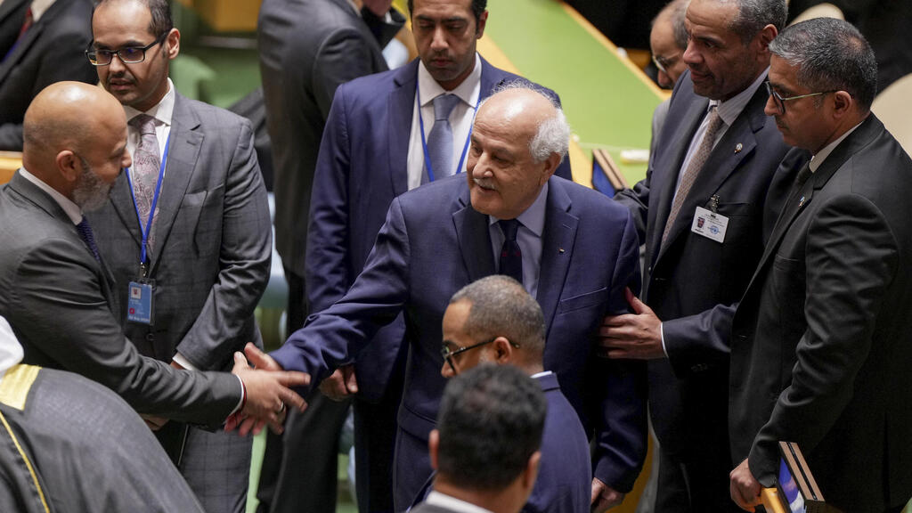 ריאד מנסור במועצת האו"ם