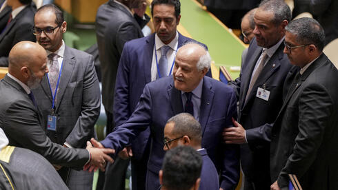 ריאד מנסור במועצת האו"ם