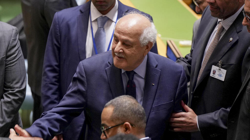 ריאד מנסור במועצת האו"ם