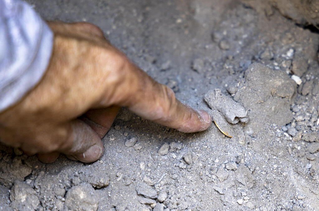אצבעו של אדי מורה על מטבע זהב, המציץ מתוך העפר
