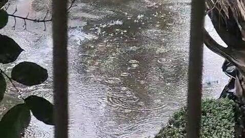 גשם בתל אביב 