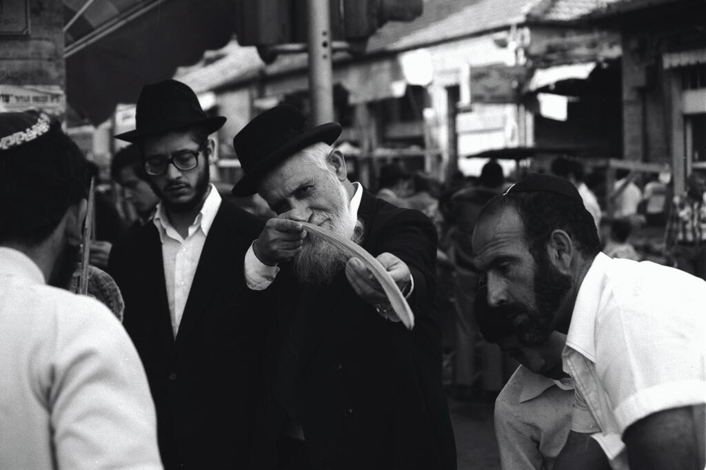 בדיקת לולב בירושלים, 1979