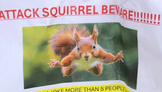 כרזה שנתלתה בעיר סן רפאל, עם אזהרה מפני תוקפנות הסנאים