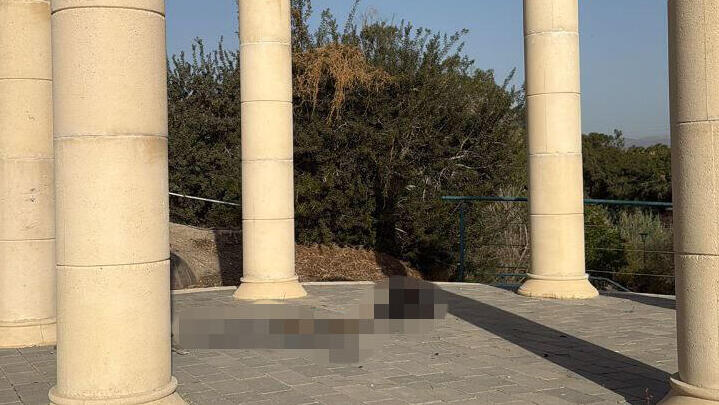 הכלב שנשרף למוות בבית שאן