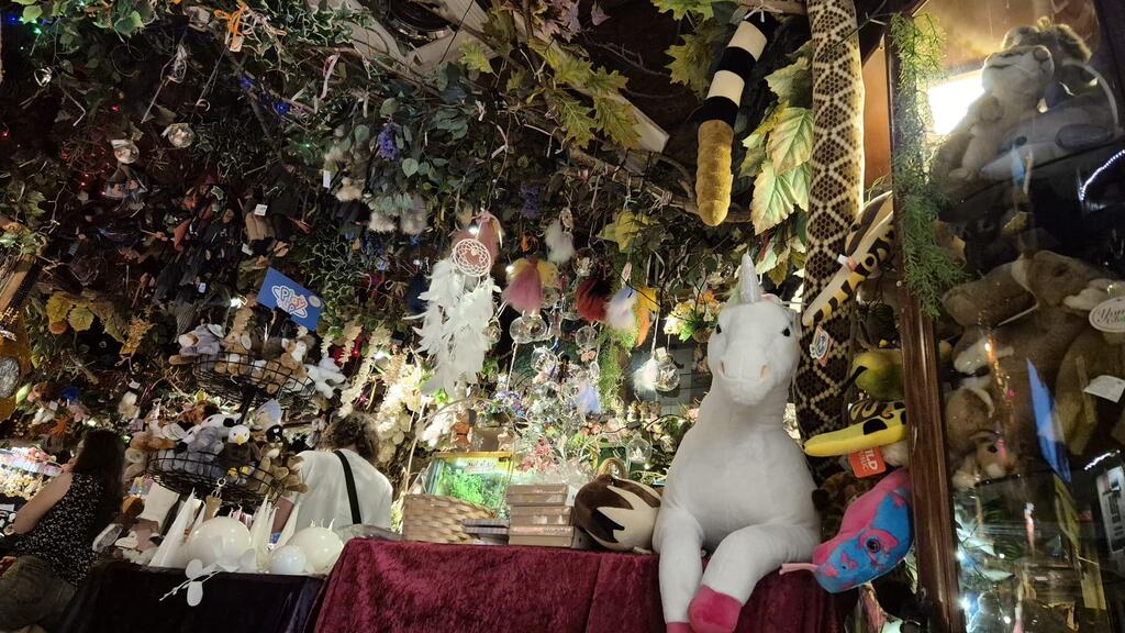 חנות יער פיות